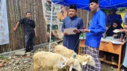 ​Makin Melonjak di Tahun Keempat, Kapalang Misteri Sebar Ratusan Hewan Kurban Jelang Idul Adha 1447 H