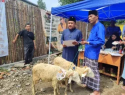 ​Makin Melonjak di Tahun Keempat, Kapalang Misteri Sebar Ratusan Hewan Kurban Jelang Idul Adha 1447 H