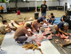 Rayakan Iduladha, Jaringan Kantor BRI Area Warung Buncit Komit Tebar Kebaikan